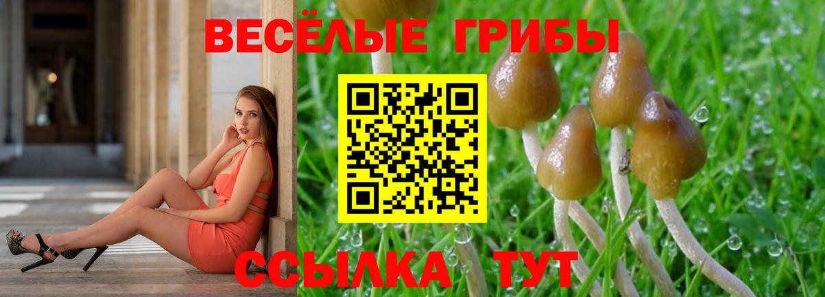 Псилоцибиновые грибы прущие грибы  Псилоцибиновые грибы Psilocybine cubensis  даркнет сайт  Бор  Вход с VPN 
